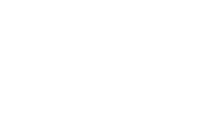 Logo SPL - Sociedad Punta de Lobos S.A.