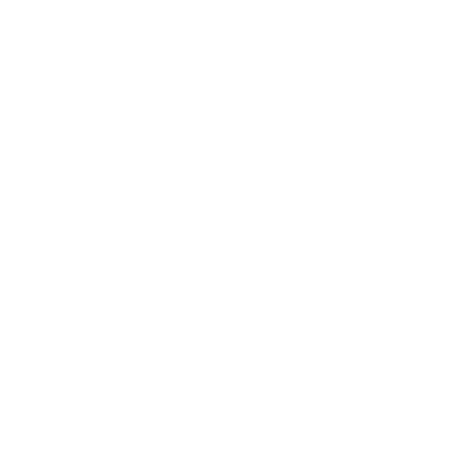 Logo SPL - Sociedad Punta de Lobos S.A.
